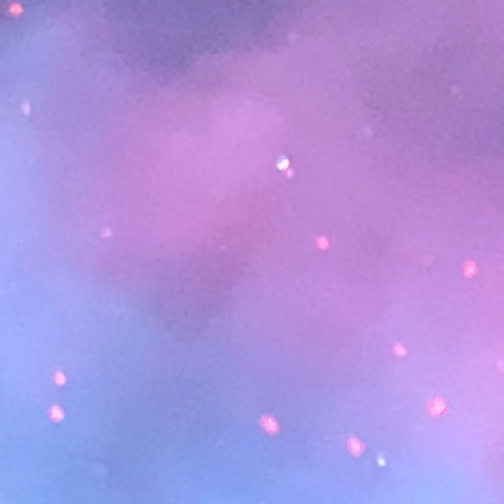 Meet your Posher, Austin